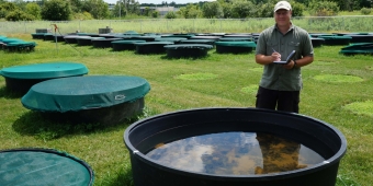 Příklad venkovního experimentu v řízených podmínkách. Kredit: Rensselaer Polytechnic Institute