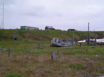 Arktická tundra u Cherského, SV Sibiř. Kredit: H. Šantrůčková.