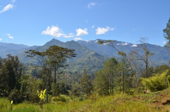 Vysočina na Papui. Kredit: eGuide PNG Travel / Wikimedia Commons.