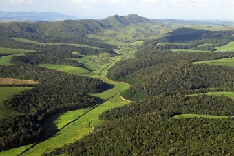 Fragmentovaný atlantický les v Usina Serra Grande, Brazílie. Kredit: leia mais.