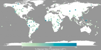 Lidské populace ve Standardním mezikulturním vzorku. Tmavý odstín modré barvy značí společnosti, ve kterých má větší podíl mužů více než jednu manželku. Kredit: Minocher et al. (2019).