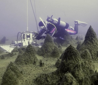 Pilíře mechů na dně antarktického jezera. Kredit: Dale Andersen, SETI Institute.