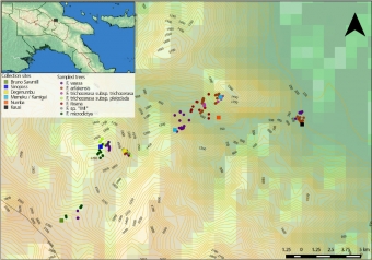 Místa sběru vzorků na Papui-Nové Guineji. Kredit: Souto‐Vilarós et al. (2019), Molecular Ecology.