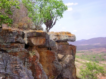 Oblast Caatinga, Brazílie. Kredit: Sergio Sertão / Wikimedia Commons.