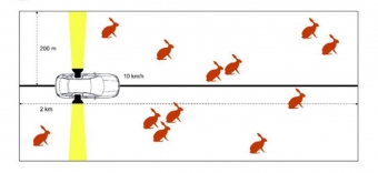 Monitorování zajíců pomocí automobilu a světel. Kredit: Pavliska et al. (2018), Mammalian Biology.