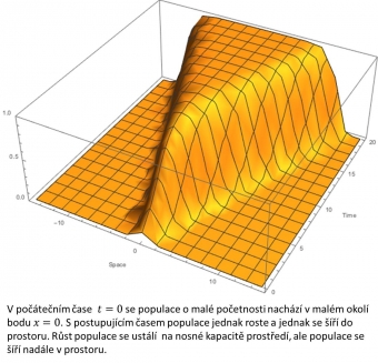 Simulace matematického modelu invaze logosticky rostoucí populace